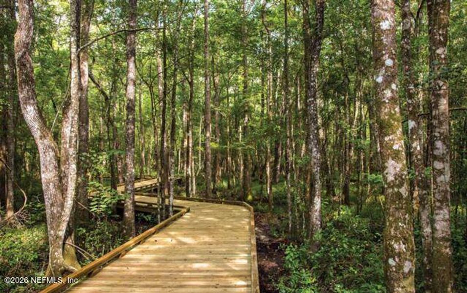 Natural landscape and outdoor views near Shearwater in St. Augustine (Image 51). Natural landscape and outdoor views near Shearwater in St. Augustine (Image 51).