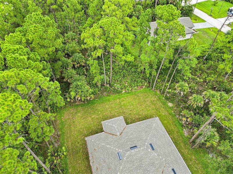 Natural landscape and outdoor views near  in North Port (Image 44).