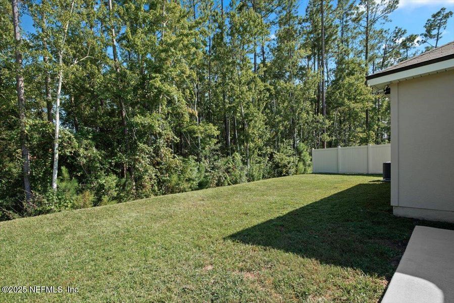 Natural landscape and outdoor views near Willow Springs in Green Cove Springs (Image 40). Natural landscape and outdoor views near Willow Springs in Green Cove Springs (Image 40).