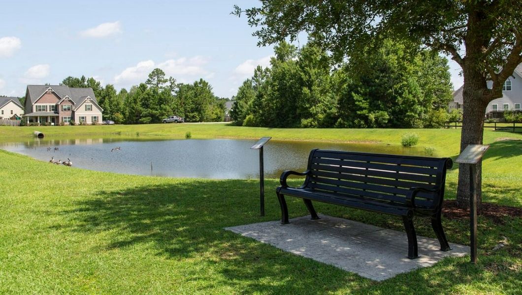 Image 29 representing the CALI by D.R. Horton in Patriot Pointe at Towne Pointe, Jacksonville, NC. Image 29 representing the CALI by D.R. Horton in Patriot Pointe at Towne Pointe, Jacksonville, NC.