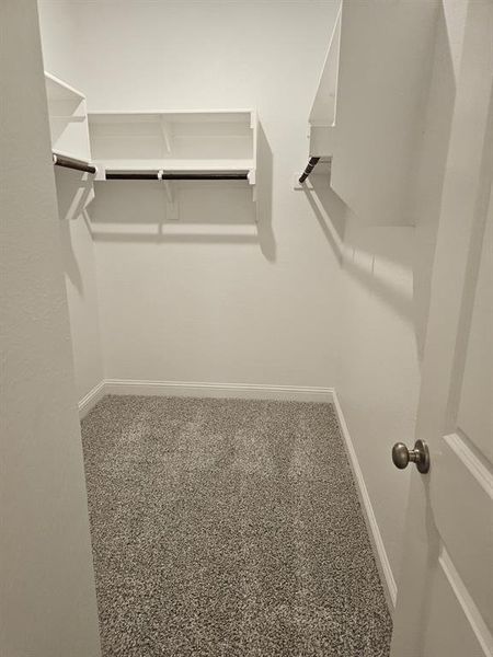 Walk in closet featuring carpet