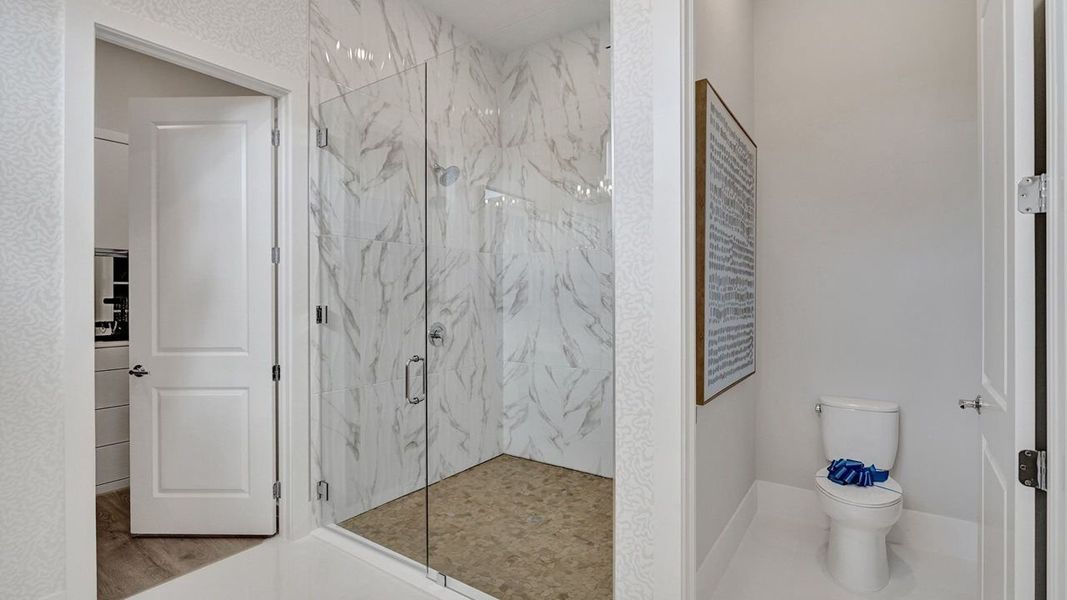 Owner's Bath