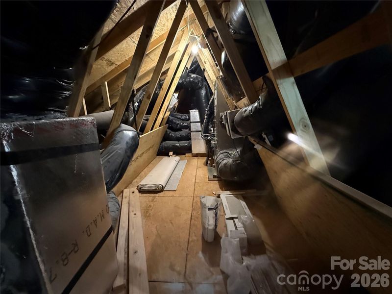 representation of walk in attic