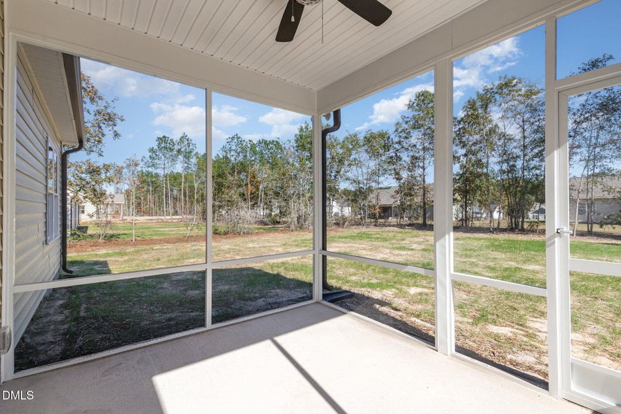 028_img_4537-edit_376 028_img_4537-edit_376