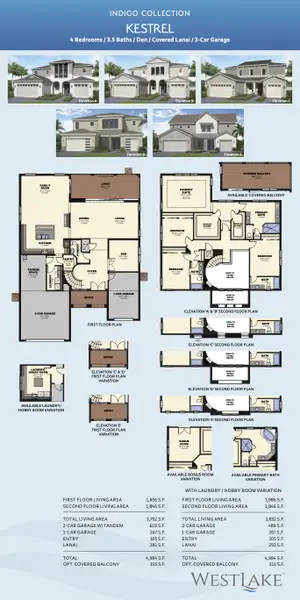 2D floor plan layout for the Kestrel by Minto Communities in Westlake, Loxahatchee, FL (Image 3).