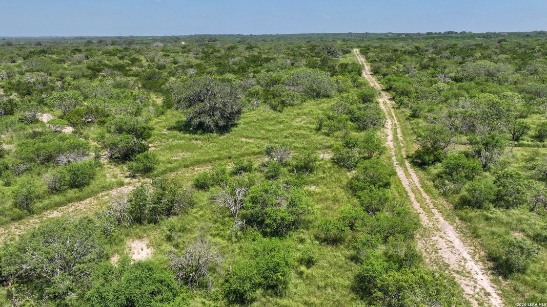 Natural landscape and outdoor views near in Kenedy (Image 27). Natural landscape and outdoor views near in Kenedy (Image 27).