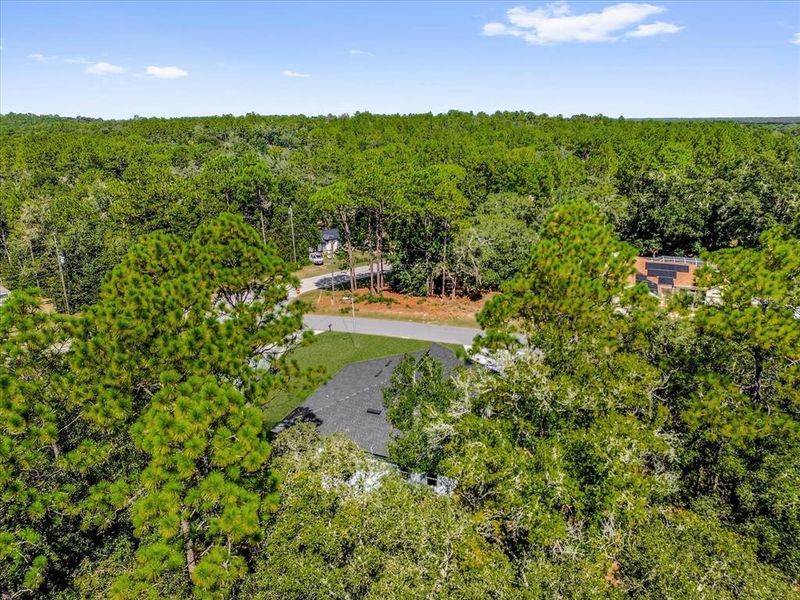 Natural landscape and outdoor views near  in Citrus Springs (Image 27).