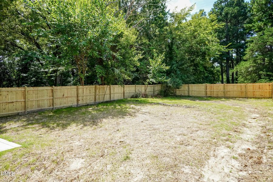 Back Yard 02 Back Yard 02