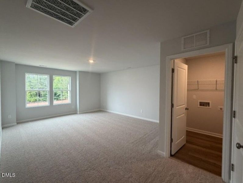loft (Medium)
