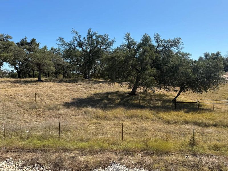 View of local wilderness featuring rural landscape View of local wilderness featuring rural landscape