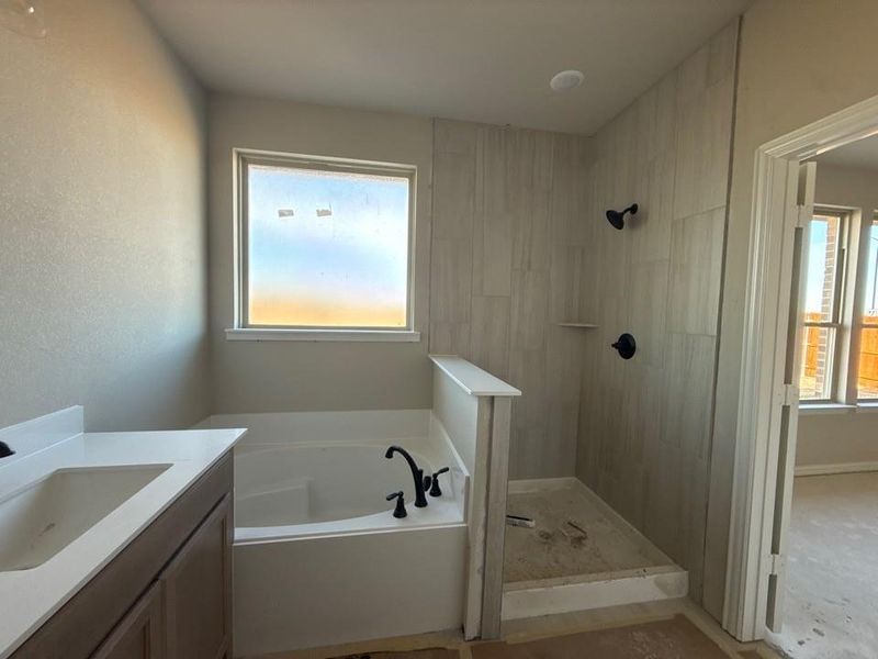Bathroom featuring vanity, a garden tub, and tiled shower