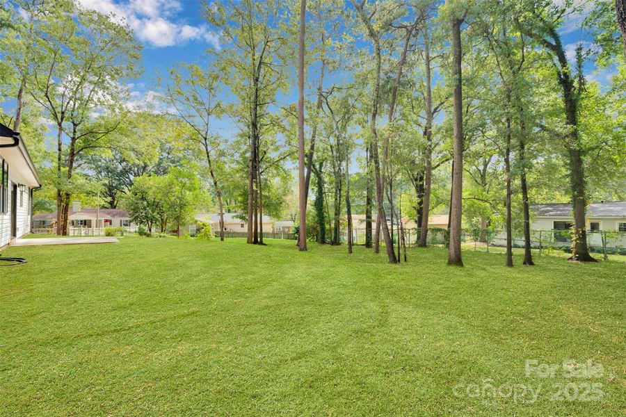 Natural landscape and outdoor views near in Gastonia (Image 17). Natural landscape and outdoor views near in Gastonia (Image 17).