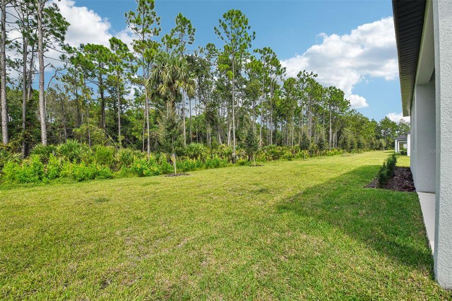 Exterior details and patio area of a home in , Ormond Beach (Image 26).