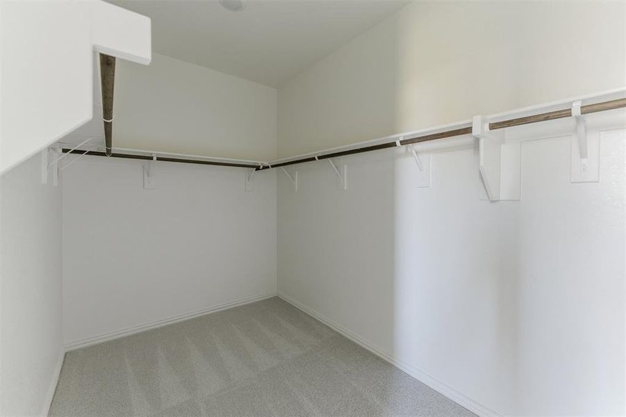Walk in closet featuring light colored carpet