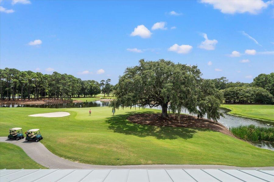 Natural landscape and outdoor views near  in Johns Island (Image 62).