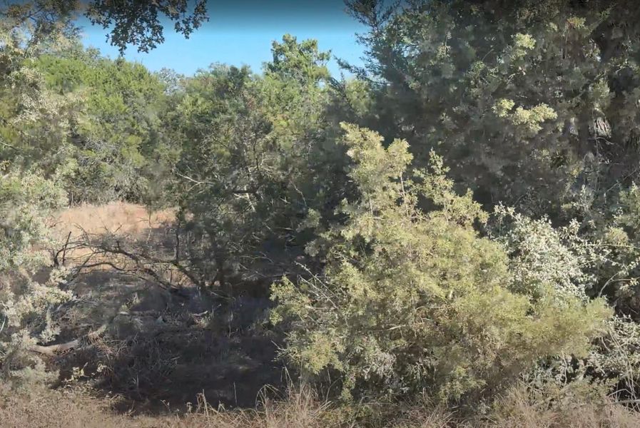 2 acres, trees, private 2 acres, trees, private