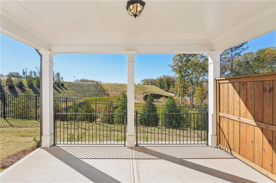 Exterior details and patio area of a home in Palisades Single Family, Cumming (Image 28).