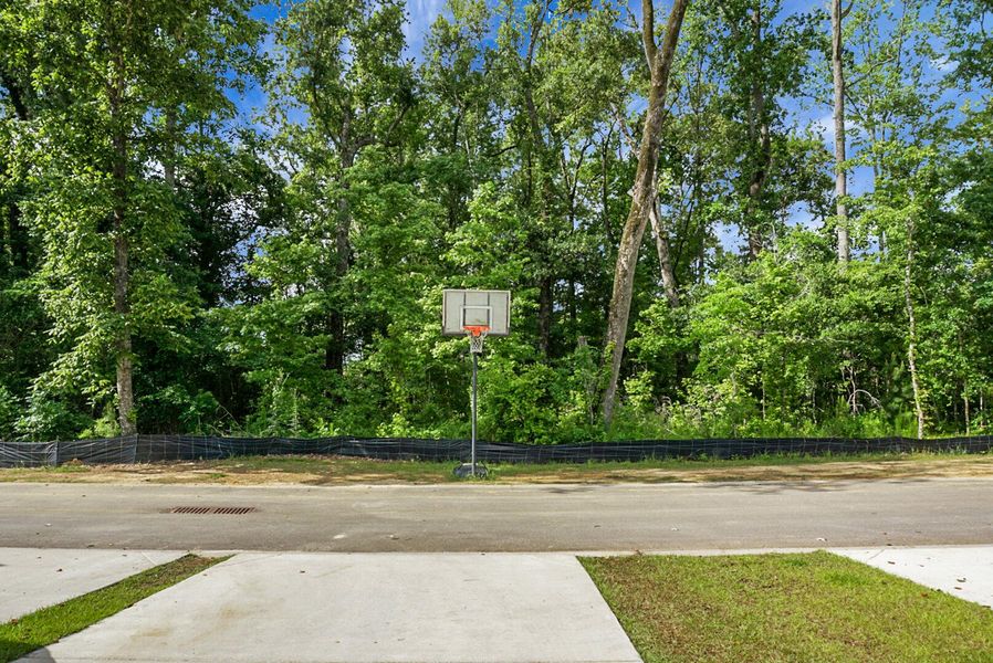 Natural landscape and outdoor views near  in Summerville (Image 31).