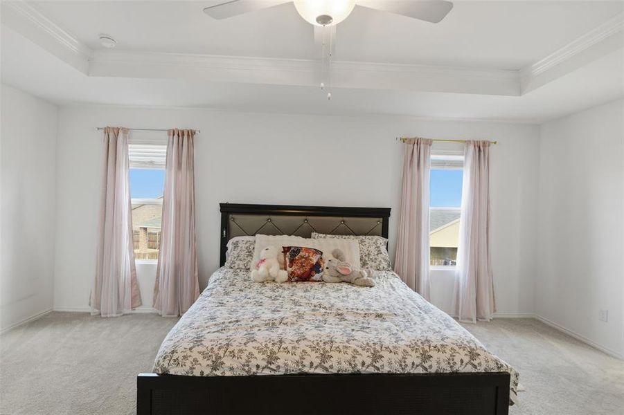 Primary bedroom - tray ceiling