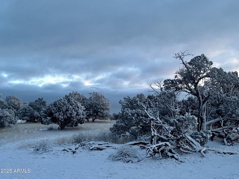Let it snow, let it snow Let it snow, let it snow
