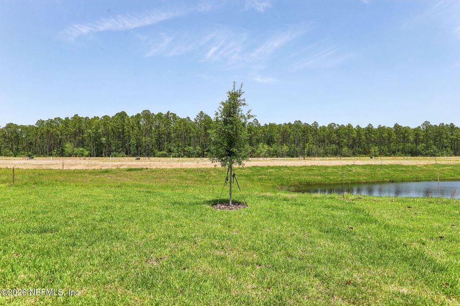 Natural landscape and outdoor views near Flagler Village - Classic Series in Palm Coast (Image 37).