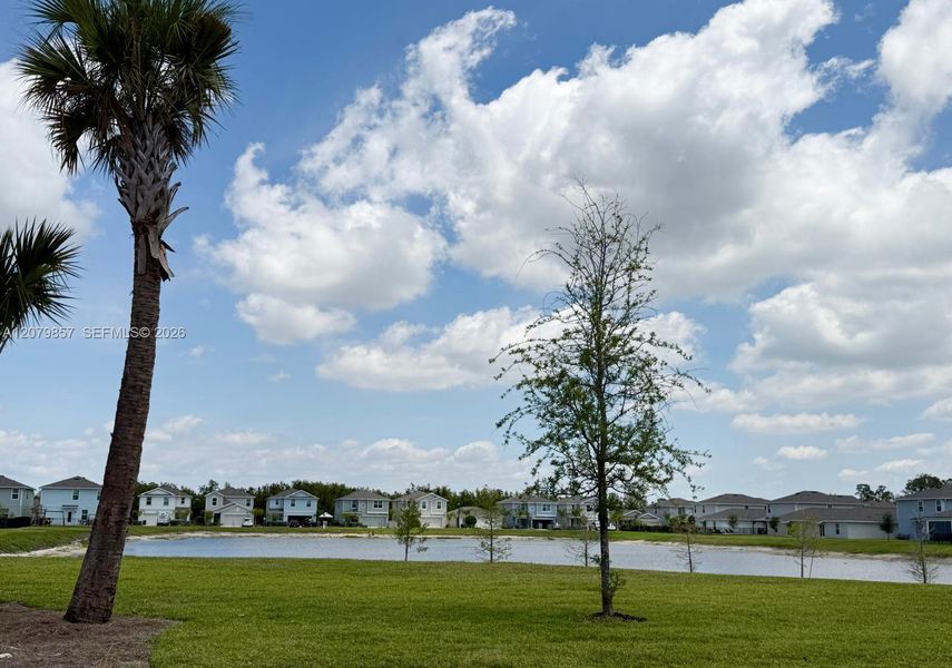 Natural landscape and outdoor views near in Fort Myers (Image 35). Natural landscape and outdoor views near in Fort Myers (Image 35).