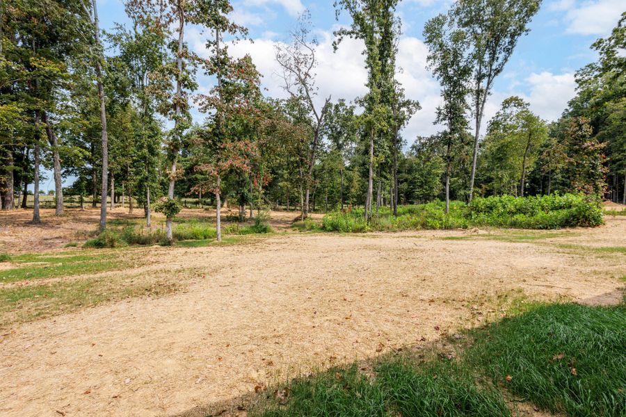 Natural landscape and outdoor views near Woodland Farms in Dickson (Image 26).