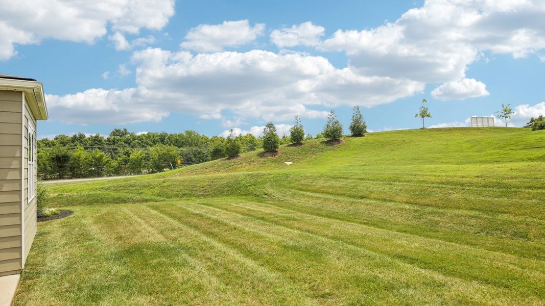 Exterior details and patio area of a home in The Parks, White House (Image 23).