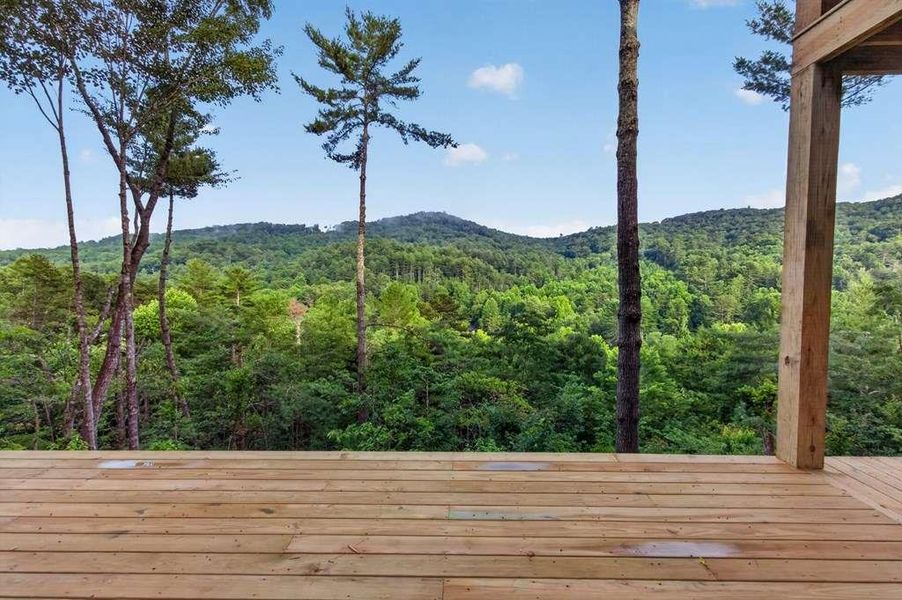 Natural landscape and outdoor views near  in Cherry Log (Image 39).