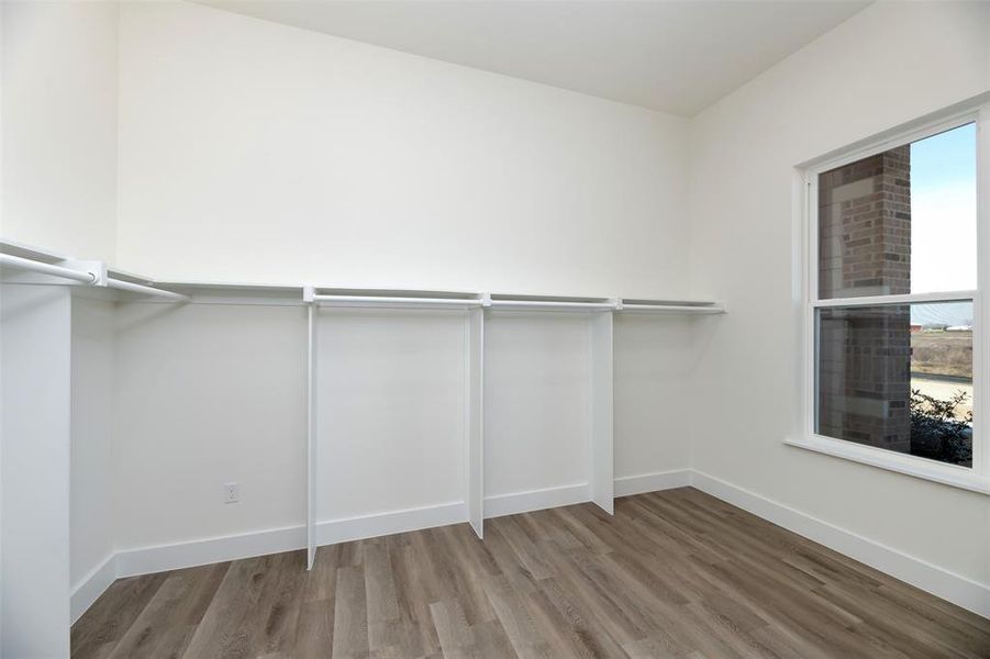 Spacious closet featuring wood finished floors