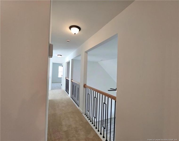 PICTURE IS REPRESENTIVE!! Catwalk PICTURE IS REPRESENTIVE!! Catwalk