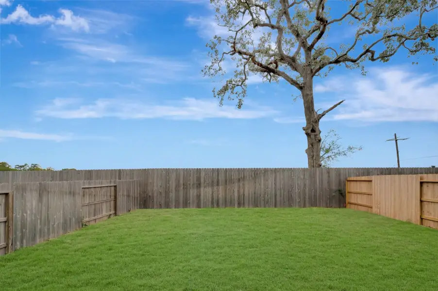 Backyard Backyard
