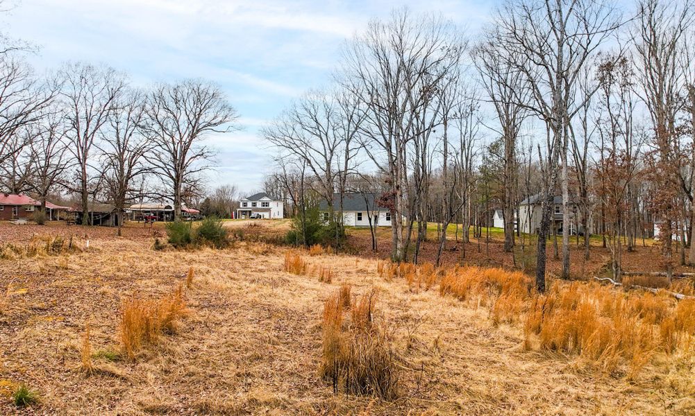 Natural landscape and outdoor views near Woodland Farms in Dickson (Image 36). Natural landscape and outdoor views near Woodland Farms in Dickson (Image 36).