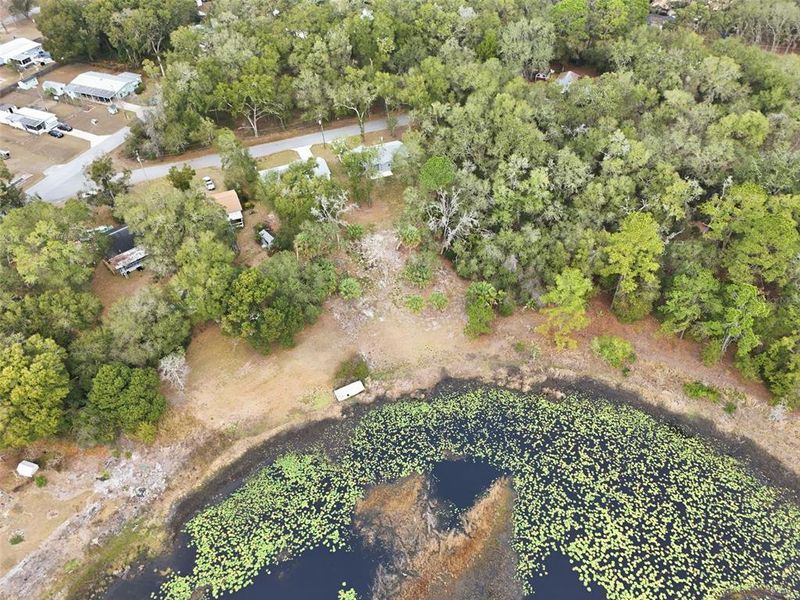 Natural landscape and outdoor views near  in Ocklawaha (Image 38).