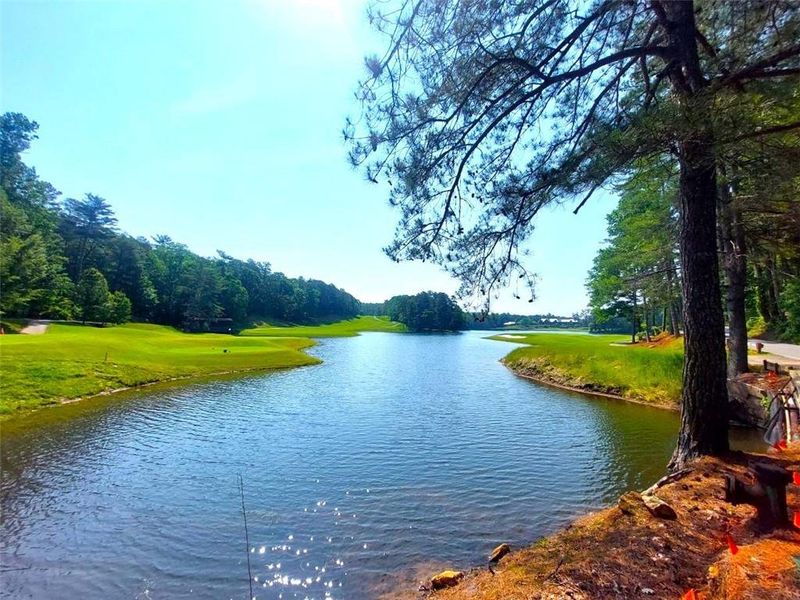 Natural landscape and outdoor views near  in Jasper (Image 20).