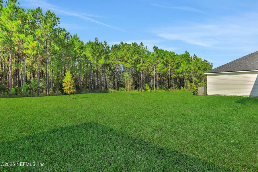 Natural landscape and outdoor views near Silver Landing at SilverLeaf in St. Augustine (Image 49). Natural landscape and outdoor views near Silver Landing at SilverLeaf in St. Augustine (Image 49).