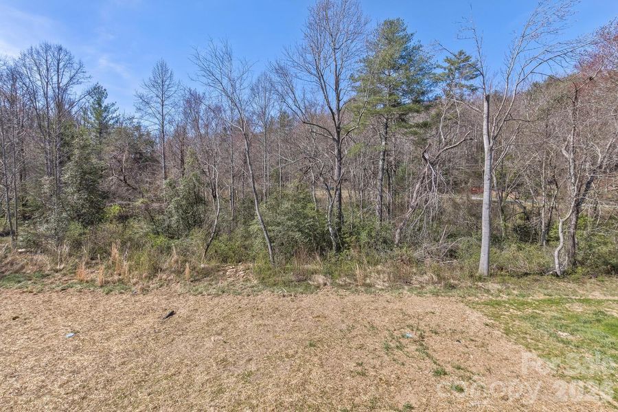 Natural landscape and outdoor views near  in Asheville (Image 21).