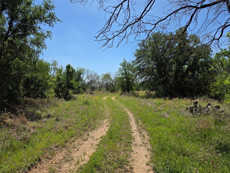 Natural landscape and outdoor views near  in San Saba (Image 31).
