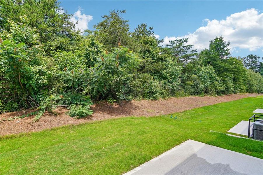 Natural landscape and outdoor views near Artisan Walk in Fairburn (Image 32).