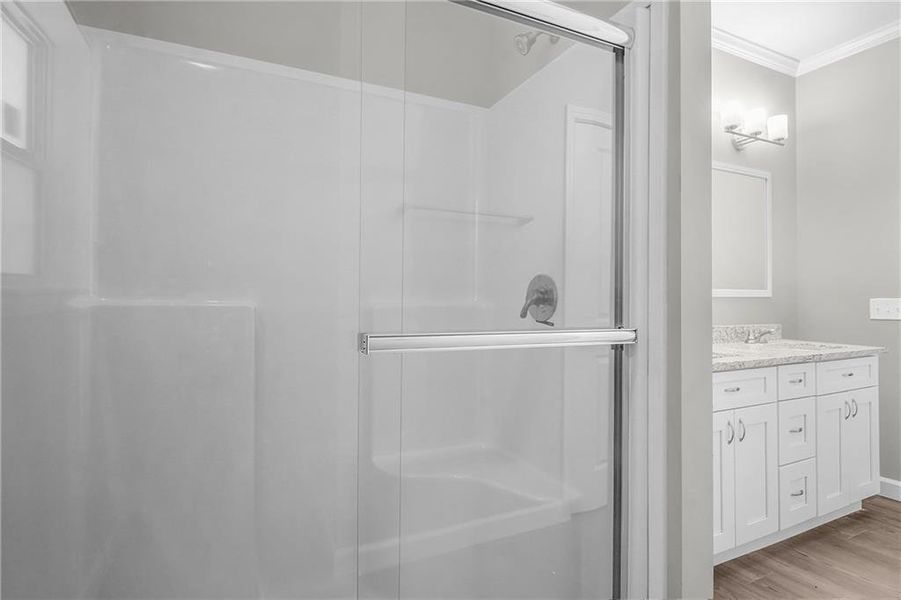 Furnished interior view inside a new home in , Ludowici (Image 16). Furnished interior view inside a new home in , Ludowici (Image 16).