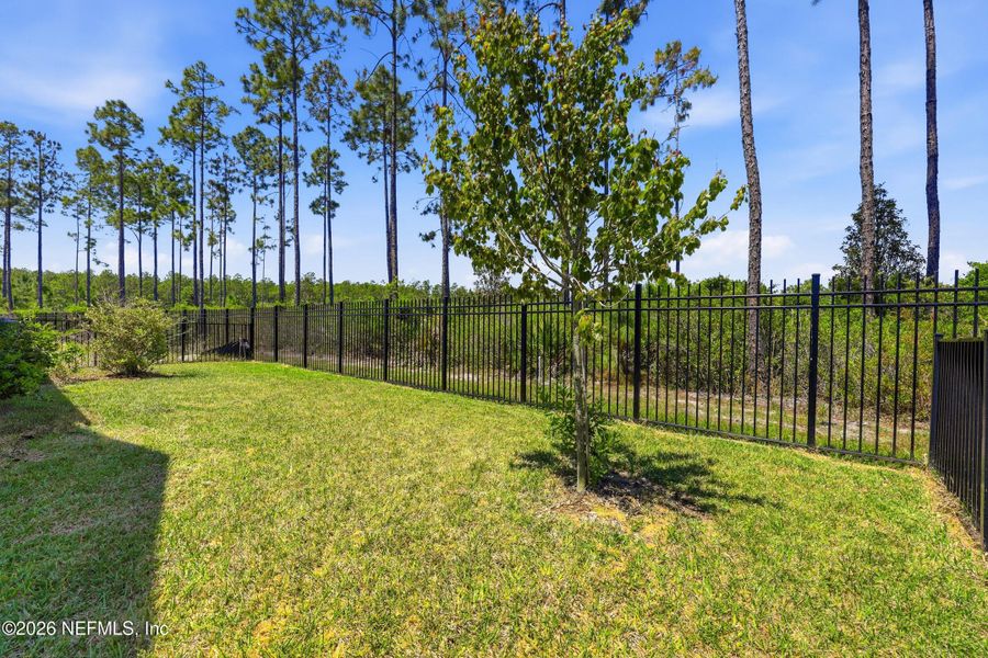 Natural landscape and outdoor views near Crosswinds 40’ in Ponte Vedra (Image 55).