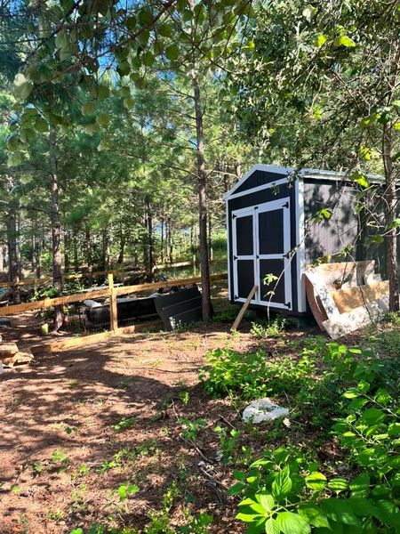 A dark shed with white trim blends into a serene wooded backdrop.