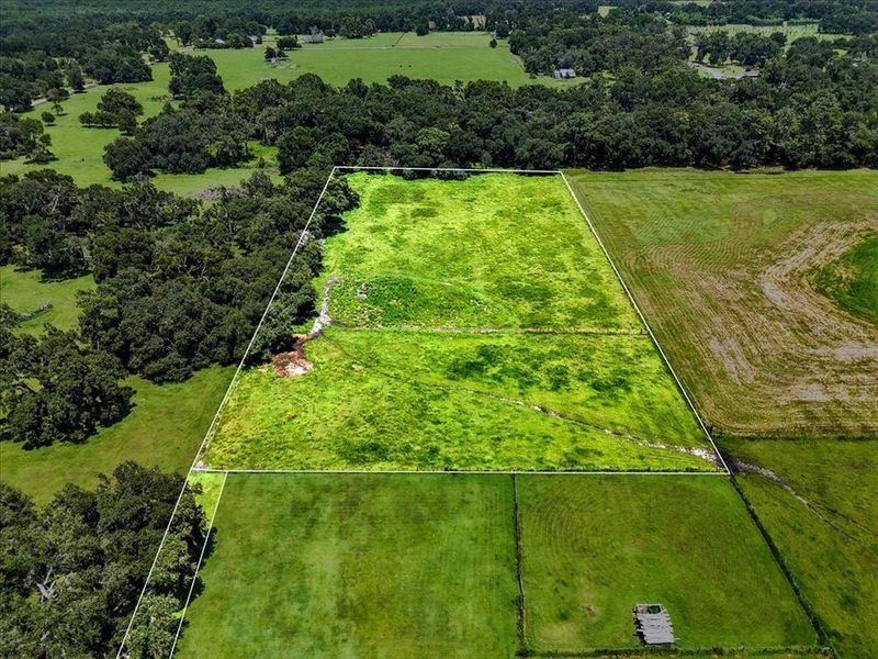 Natural landscape and outdoor views near  in Dade City (Image 13).
