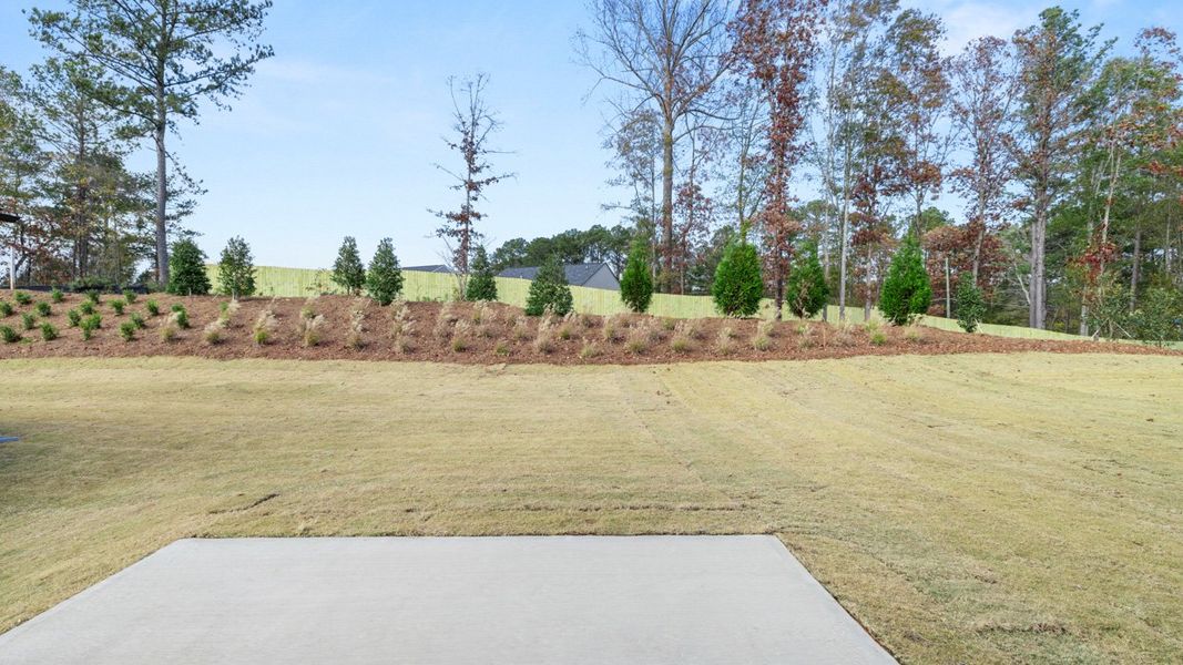 Outdoor and nature views near homes built from the ANSLEY Express by D.R. Horton in WillowBrook, Winder (Image 36).