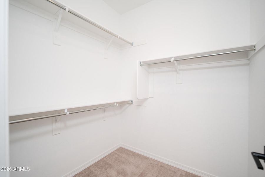 21_20260116__TIM9525-Edit