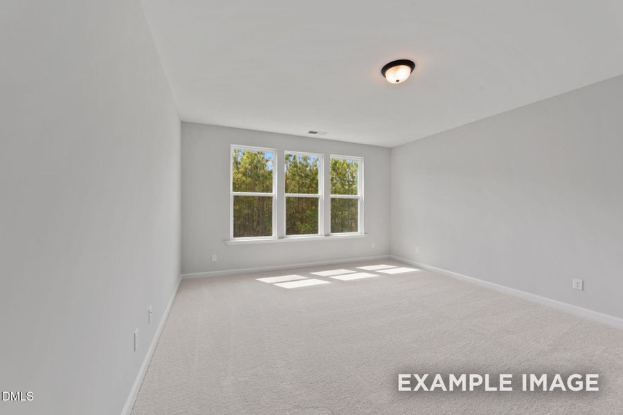 38-web-or-mls-VB4A8832