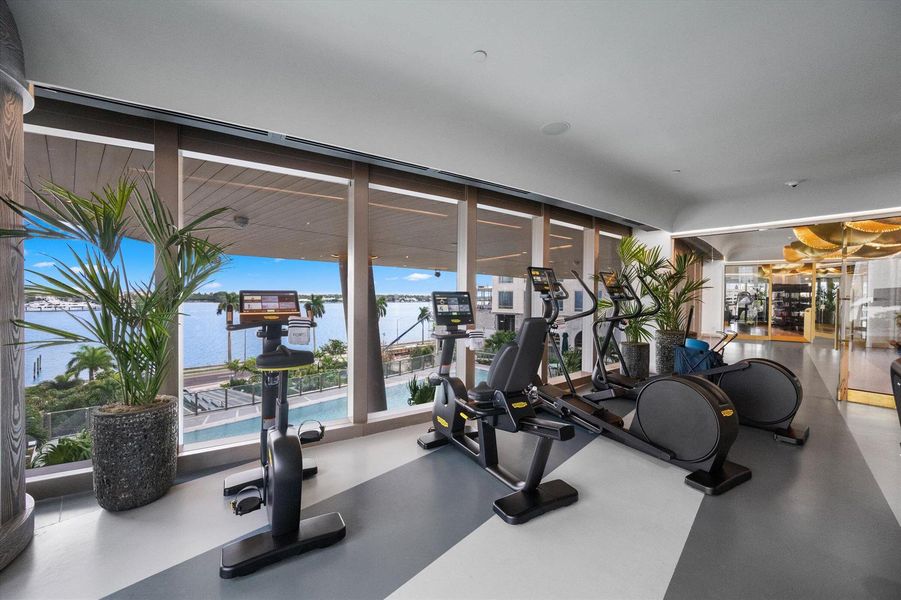 Gym Gym