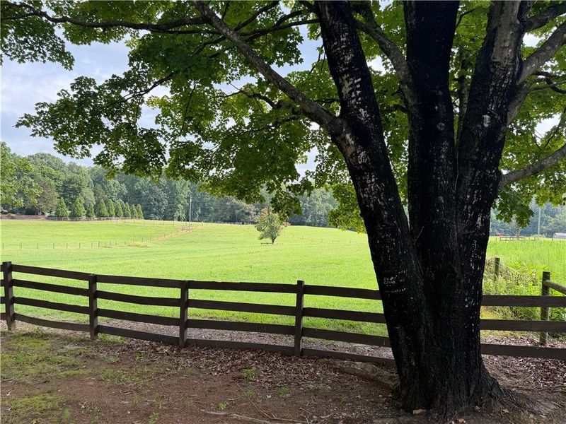 Natural landscape and outdoor views near  in Dacula (Image 63).