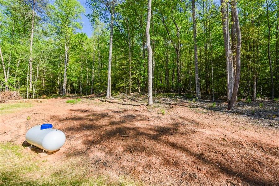 Natural landscape and outdoor views near  in Ellijay (Image 43).