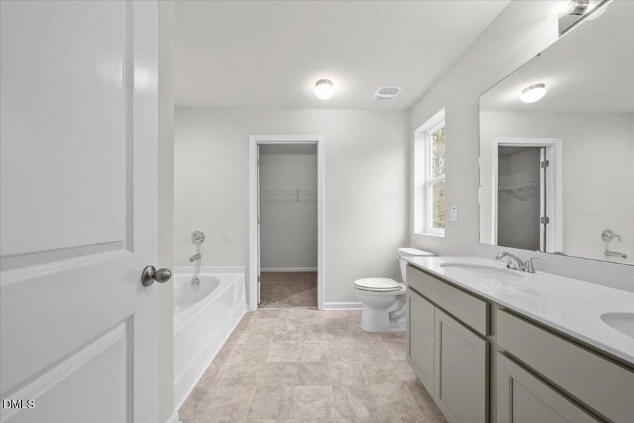 Fay_Stout_17 (25)1 Fay_Stout_17 (25)1